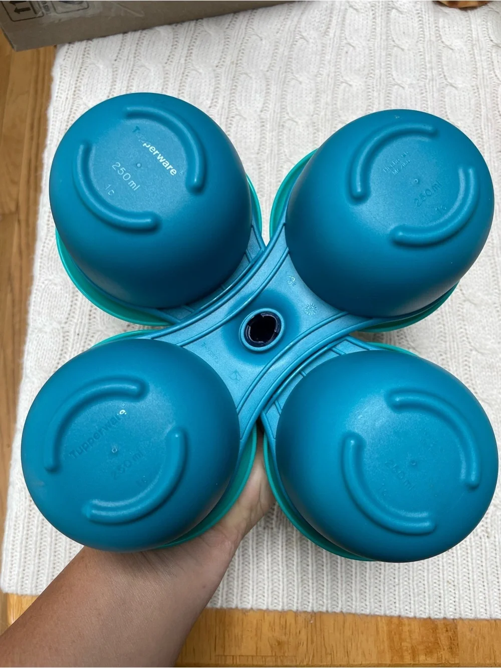 Tupperware Blossom Table 4-Bowl Condiment Server in blue and teal